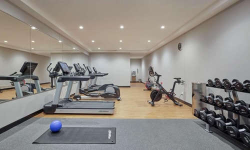 King Room Near Shakespeare Theater CHI 13 Luxury Bookings