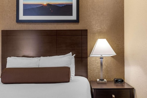 Queen Room Near Dream Dental LAS 2 Luxury Bookings