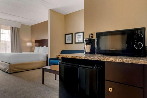 King Suite Near Major Plaza 2 ORL 4 Luxury Bookings