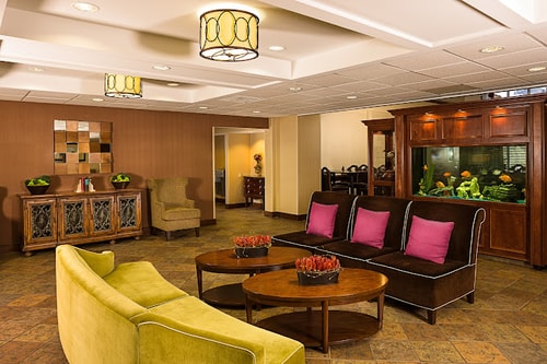 Double Suite Near Aerotek ORL 6 Luxury Bookings