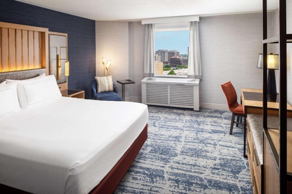 Junior King Suite Near Headlines Hair Designer WDC Luxury Bookings