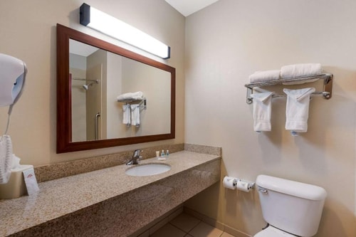 Standard King Room Near TemperPack LAS 3 Luxury Bookings