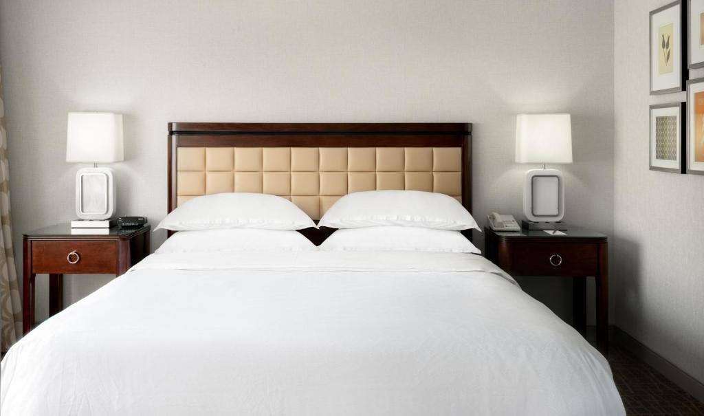 1 Bedroom Suite Near Airport Lakes Park ORL Luxury Bookings