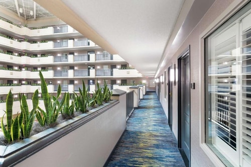 King Suite Near Florida Realtors ORL 10 Luxury Bookings