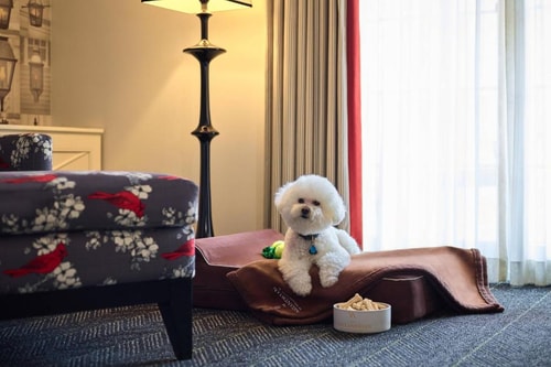 Deluxe Room Near City Of Alexandria WDC 3 Luxury Bookings