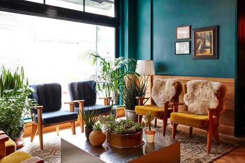 Single Room Near Rolfs NYC 5 Luxury Bookings