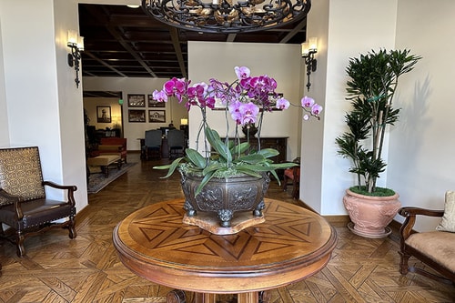 1 Bedroom Suite Near Hammer Museum LA 8 Luxury Bookings