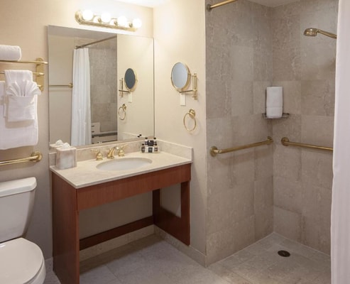 Executive Junior Suite Near Wollman Rink NYC 8 Luxury Bookings