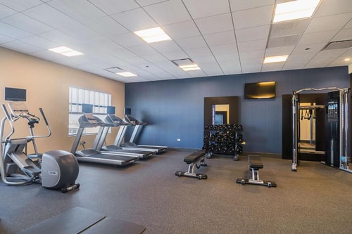 Executive King Room NearTobey Prinz Beach Park CHI 14 Luxury Bookings