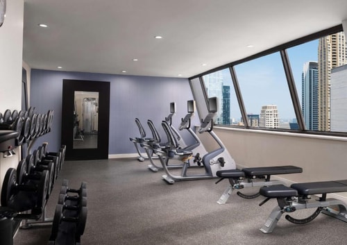 King Suite Near Moody Bible Institute CHI 11 Luxury Bookings