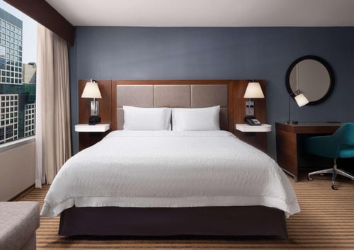 King Room Near Shirley Ryan AbilityLab CHI Luxury Bookings