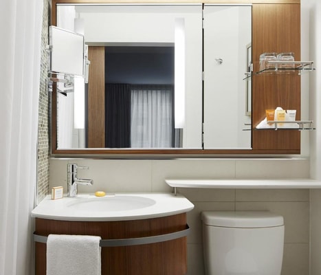 Standard Room Near Grand Central Terminal NYC 6 Luxury Bookings