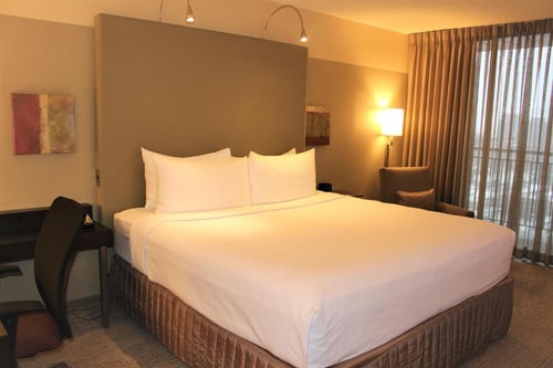 King Room Near Mary Bartelme Park CHI Luxury Bookings