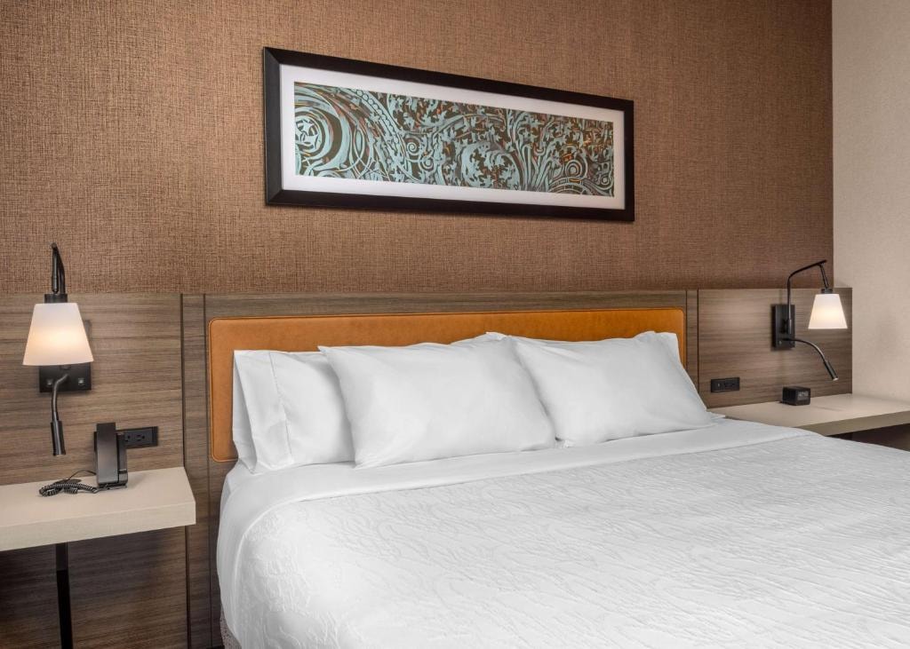 King Room Near The Art Institute of CHI Luxury Bookings