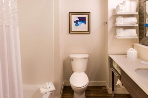 King Room Near Florida Realty Investments ORL 3 Luxury Bookings