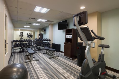 Studio Queen Suite Near McCaffrey Playground NYC 14 Luxury Bookings