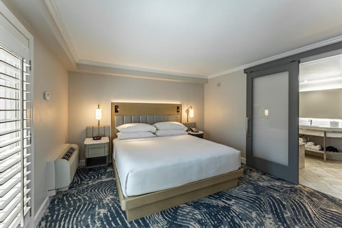 King Suite Near Scandalous Artistry Salon ORL 1 Luxury Bookings