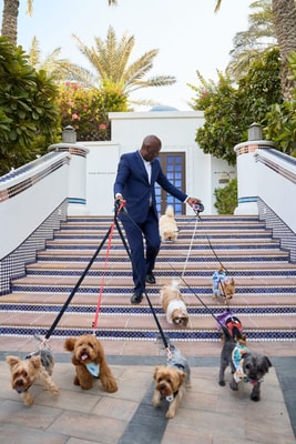 Luxury Standard Room Near Synergy Gulf 15 Luxury Bookings