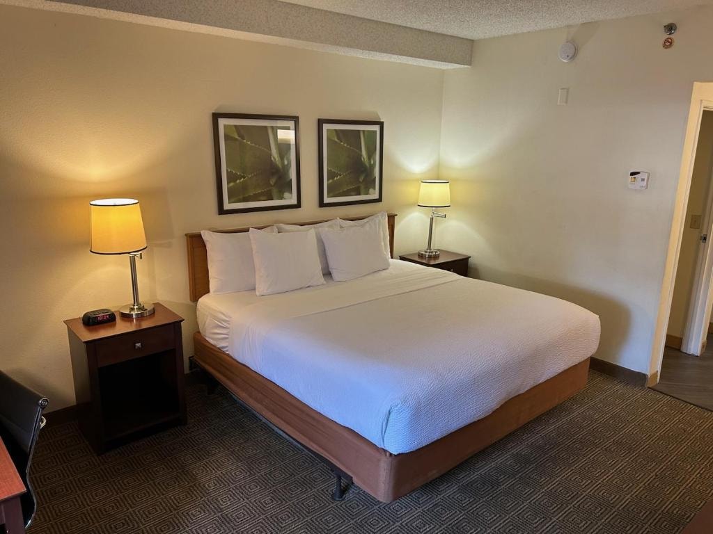 King Room Near Blanchard Park ORL Luxury Bookings