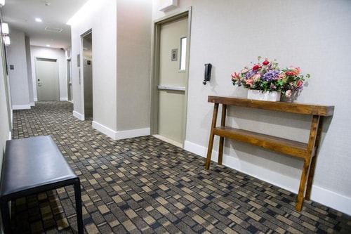 Deluxe King Room Near Forsyth Plaza NYC 7 Luxury Bookings