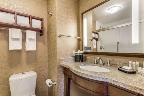 King Room Near Arthritis Foundation NYC 6 Luxury Bookings