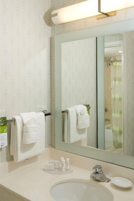 King Suite Near Little Sand Lake ORL 6 Luxury Bookings