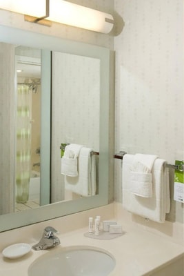 King Suite Near Little Sand Lake ORL 8 Luxury Bookings