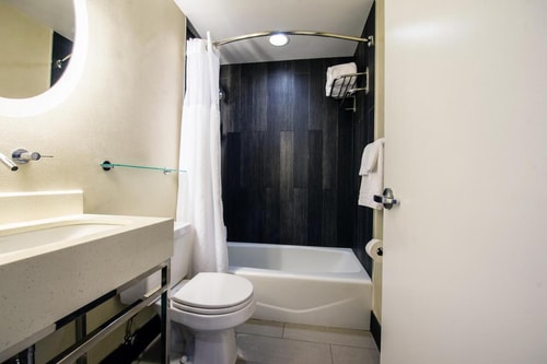 Standard Queen Room Near Museum Of Chinese NYC 10 Luxury Bookings