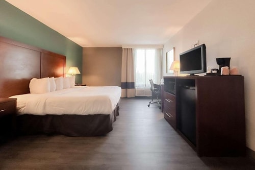 Deluxe King Room Near Lake Wilson ORL 2 Luxury Bookings