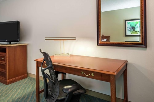 Double Room Near Freedom Flyer ORL 2 Luxury Bookings