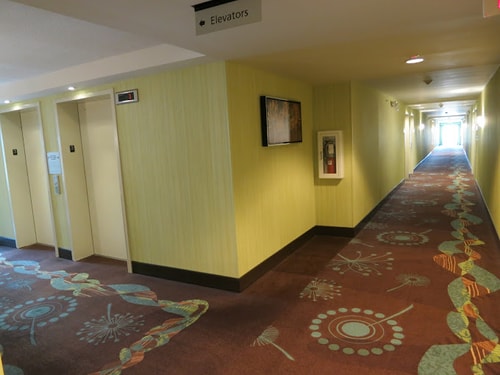 King Room Near You Fit Gyms ORL 8 Luxury Bookings
