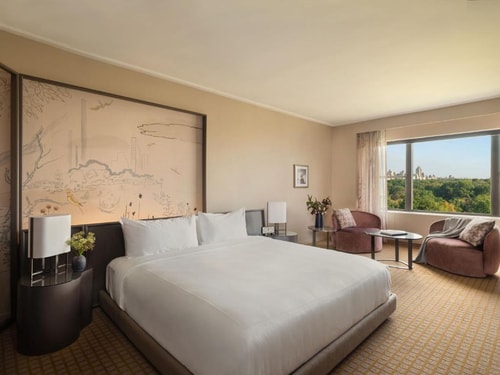 King Room Near Central Park Zoo NYC 6 Luxury Bookings