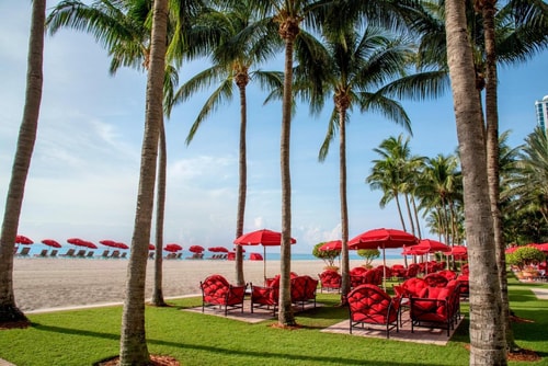 King Room Near Chase Bank MIA 9 Luxury Bookings