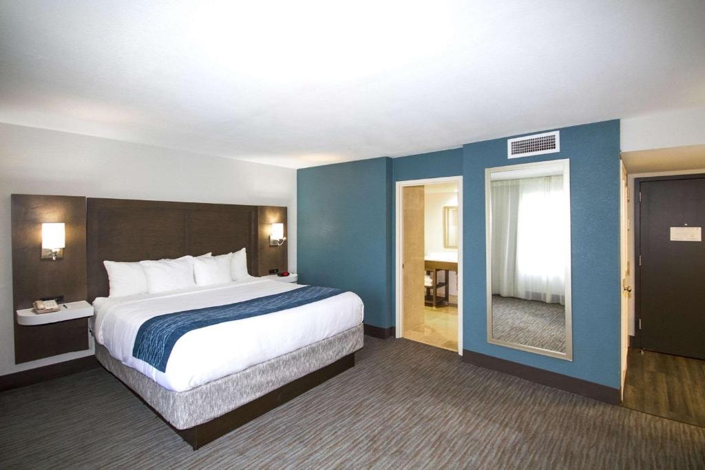 King Room Near James L Knight Center MIA Luxury Bookings