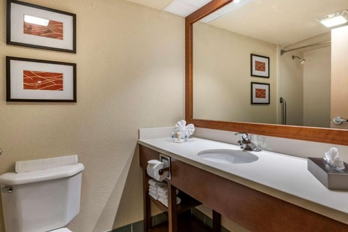 King Suite Near West Bird Plaza MIA 4 Luxury Bookings