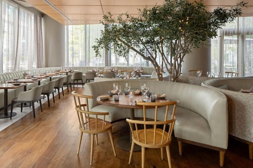 Superior King Room Near Coyo Taco MIA 9 Luxury Bookings