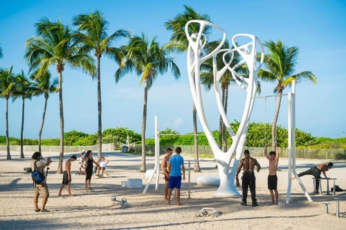 King Room Near Trader Joes MIA 12 Luxury Bookings