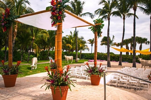 King Room Near High Tide MIA 11 Luxury Bookings