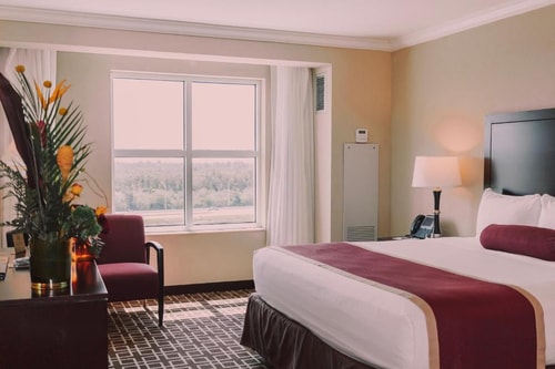 Deluxe King Room Near Trail Glades Range MIA Luxury Bookings