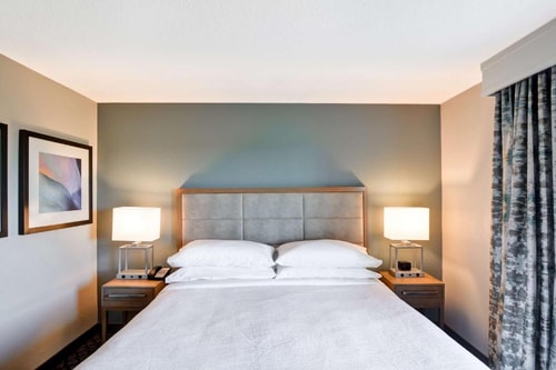 Deluxe King Suite Near Orlando Public Library ORL Luxury Bookings