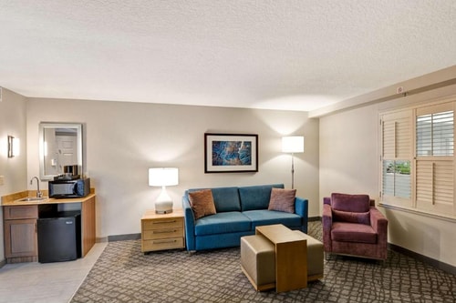 Deluxe King Suite Near Orlando Public Library ORL 4 Luxury Bookings