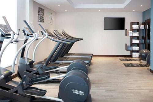 King Or Twin Room Pet Friendly In Dubai Al Barsha 15 Luxury Bookings