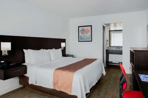 Deluxe King Room Near French Bakery MIA Luxury Bookings