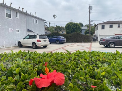 Queen Room Near Hotchkiss Park LA 14 Luxury Bookings