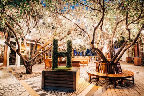 Premier King Room Near High Tide MIA 9 Luxury Bookings