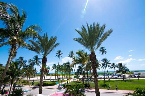 Superior King Room Near Pink Taco MIA 11 Luxury Bookings