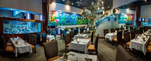 Standard Room Near Alamo Rent A Car ORL 11 Luxury Bookings
