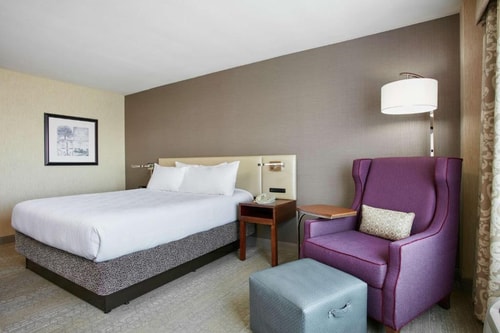 King Room Near Twist Bioscience SAN Luxury Bookings