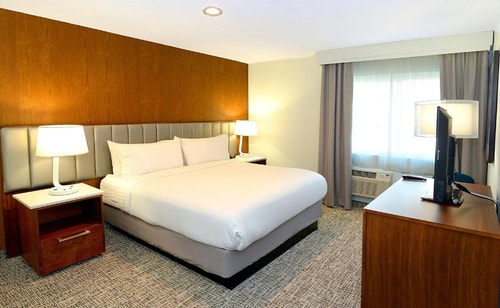 Standard King Room Near Lucent Education SAN 3 Luxury Bookings