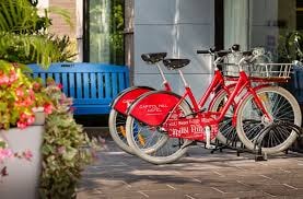 Queen Suite Near Folger Park WDC 13 Luxury Bookings